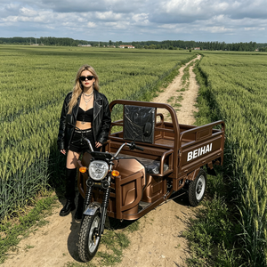 2026 BEIHAI Tricycle Supercar à Trois Roues Économique Mini 60V 2000W Scooter Tricycle Passager à 3 Roues pour Adultes - Product Image 3