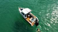 Nouveau bateau de pêche, de croisière et de fête en catamaran en aluminium de 6,25 m, très populaire, à vendre