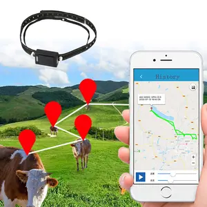 Localizador Gps en tiempo Real, GPS negro, superlargo, resistente al agua, 2G, 4G, vaca, oveja, caballo, ganado