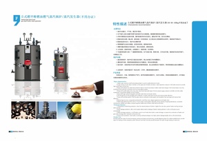En stock, vente flash : Chaudières à vapeur verticales et générateurs de vapeur à <span class=keywords><strong>fioul</strong></span>/gaz/méthanol, capacité d'évaporation de 500 kg/h, vapeur rapide - Product Image 3