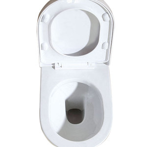 Professinal Bathroom Washdown One Piece Wall Hung P-tray <strong>WC</strong> Toilet