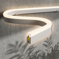 Bande LED néon blanche à profil mince de 5 mm, 4x10 mm, 11 W, 24 V avec câble rouge et noir pour vitrine de magasin et éclairage de musée