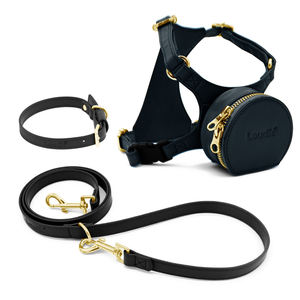 Disesuaikan elegan dan tahan air lembut kulit Harness anjing dengan tas penyimpanan ransel kantong dan Set tali hewan peliharaan mewah rompi dada - Product Image 5