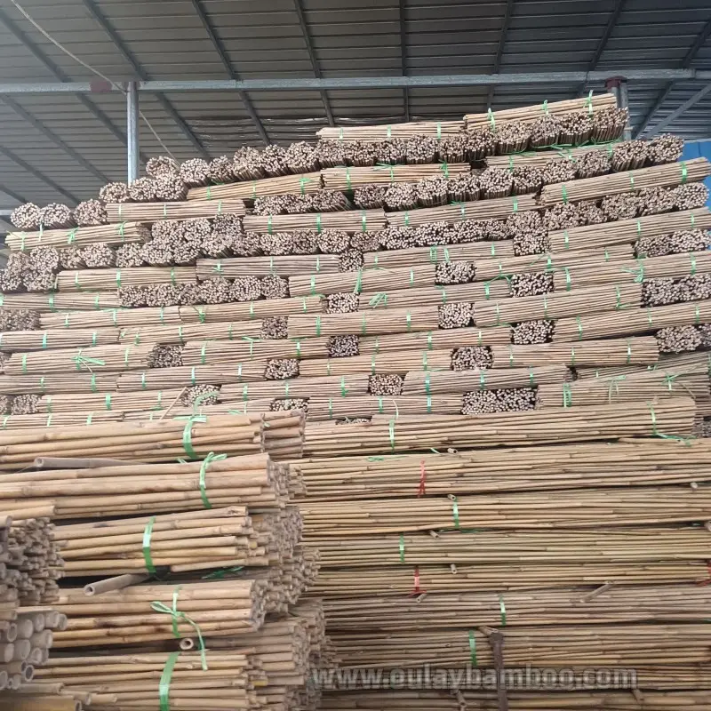 Agriculture Bamboo Sticks Raw Bamboo Poles for Nursery Planting Custom Treated Bamboo cane/stakes For Sale