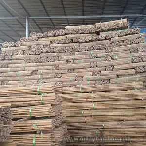 Agriculture Bamboo Sticks Raw Bamboo Poles for Nursery Planting Custom Treated Bamboo cane/stakes For Sale