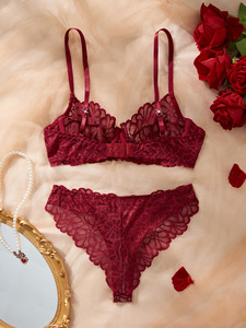 Floral Lace Womens Intimates Lingerie Set Sexy Sheer Mesh Underwire <b>Bra</b> and Thong Panties Elegant Womens Underwear Set OEM ODM - Product Image 2
