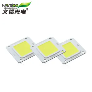 Bridgelux de suministros de fábrica de 50W 60W integrado Panel SMD Chip de luz Led