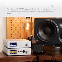 Amplificateur de casque DAART YULONG A39, préamplificateur R2R, volume 50W, alimentation linéaire, système d'exploitation Linux 4.4/XLR, équilibré 6.35