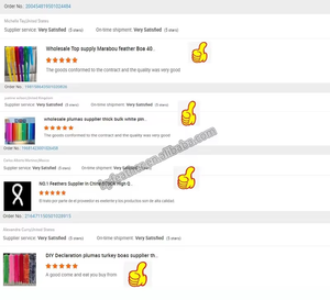 2ply 1ply Guirlande Écharpe Plume d'autruche Boa <span class=keywords><strong>pour</strong></span> <span class=keywords><strong>Femmes</strong></span> Diy Craft Costume Dance Party Halloween Xmas Decor Cloth Dance Accessory - Product Image 5