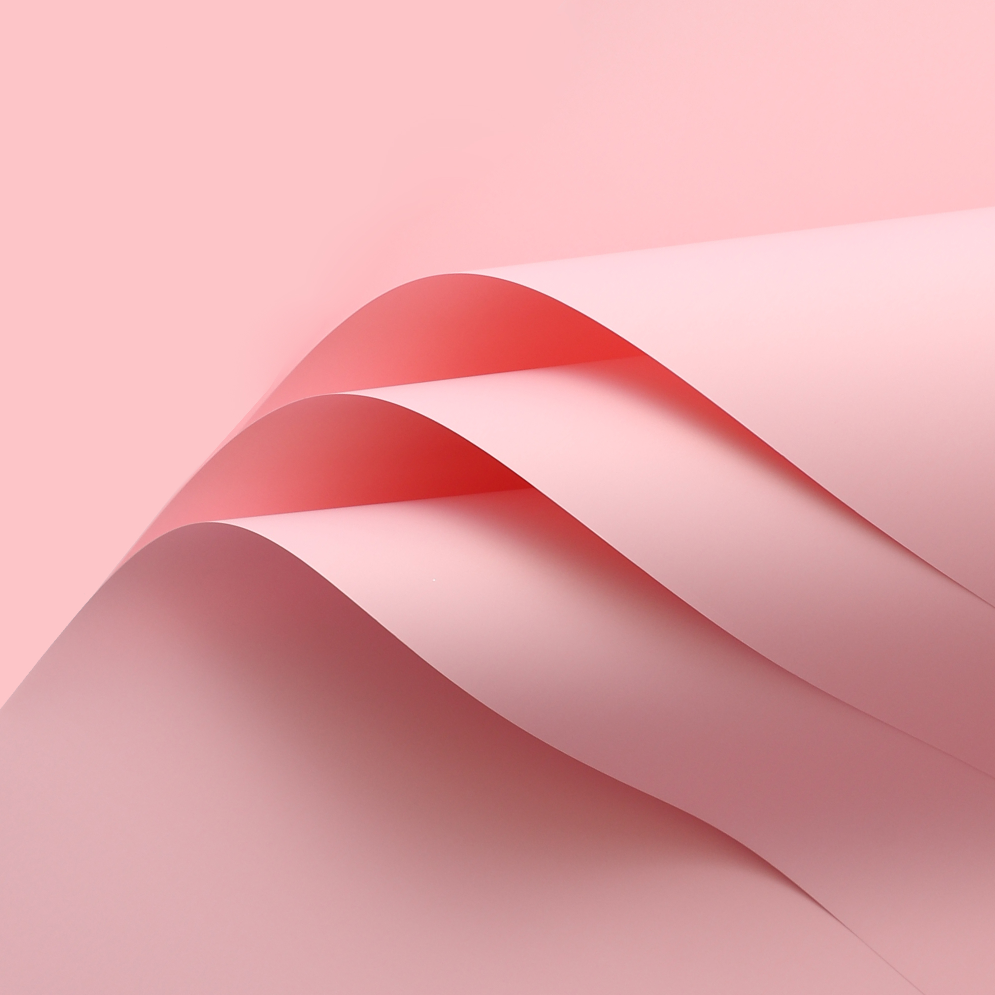 Trendy paper [cherry powder] 20 45*50cm
