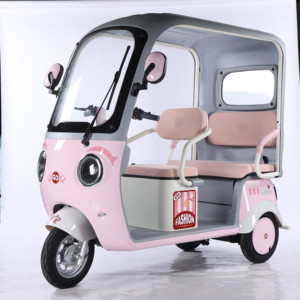 Tricycle électrique 650W 60V20AH Batterie au plomb-acide Pneu 300-10 Moteur sans balais 3 vitesses Frein hydraulique Moto à 3 roues - Product Image 3