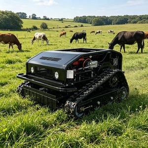 <span class=keywords><strong>Robot</strong></span> Rasaerba Cingolato Industriale <span class=keywords><strong>Telecomandato</strong></span> per Pendenze, Motore a Benzina da 16 HP, Semovente, per Ogni Terreno - Product Image 5
