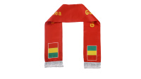 Großhandel Schneller Versand Guinea Flagge 17x135cm Sport-Schal Individuell Bedruckter Fußball-Fan Halstuch mit Quasten