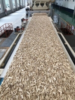Machines industrielles pour bois, panneaux de production, ligne de fabrication, fournisseurs de machines