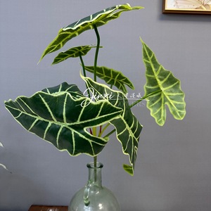 Plante artificielle Calathea Jinxi, verdure pour décoration de mariage, décoration intérieure, feuilles en plastique haute simulation - Product Image 3
