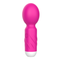 USB-Aufladbarer Rosenroter Niedlicher Mini-Silikon-Elektro-Vibrator mit 10 Geschwindigkeiten, 100% Wasserdicht, Persönlicher Massagestab für Klitoris und G-Punkt