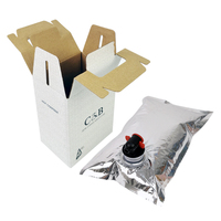 Sacs sous vide personnalisés en aluminium durable et résistant à l'humidité pour vin, café infusé à froid en boîte avec bec verseur et robinet, emballage plastique
