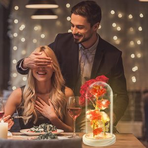 Vente chaude <span class=keywords><strong>rose</strong></span> led dans un dôme en verre <span class=keywords><strong>rose</strong></span> <span class=keywords><strong>rouge</strong></span> Beauty and The Beast <span class=keywords><strong>Rose</strong></span> Flowers pour cadeau de mariage - Product Image 5