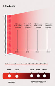 Panneau de thérapie par la lumière rouge à 5 longueurs d'onde à usage domestique SAP Smart LCD écran tactile <span class=keywords><strong>lampe</strong></span> de thérapie par la lumière infrarouge debout - Product Image 5