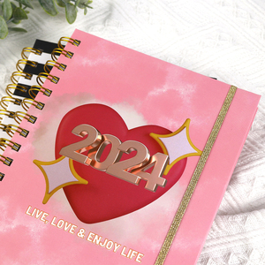 A5 Personalised <strong>Diary</strong> Pink and Gold Weekly <strong>Diary</strong> <strong>Organiser</strong> Agenda Spiral Notebook - Product Image 2