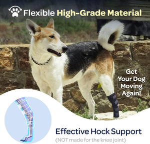 Soporte de compresión para la articulación del tibio de las patas traseras de perro, para patas traseras débiles y molestias en las articulaciones, soporte ajustable para las patas traseras - Product Image 3