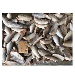 Frozen mackerel hgt frozen fish for Russia Market