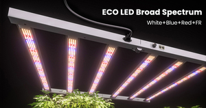 2025 हॉट-सेलिंग 720w इको प्लस के नेतृत्व में हल्के पूर्ण स्पेक्ट्रम के लिए 6 बार बढ़ते हुए वाणिज्यिक संयंत्र के लिए 6 बार 2.7 - Product Image 6