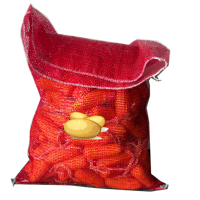 Exportation vers Chili rouge emballage PP filet pour légumes sac/pomme de terre ail gingembre Orange bois de chauffage maille sac aubergines sacs