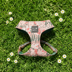 Small Size Cotton Comfortable Fashion <b>Dog</b> Harness Cat Harness Adjustable Small Size Cute Buckle Closure for Pet Owners Wholesale - Product Image 1