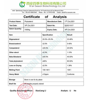 Poudre de Phytostérols en Vrac (Bêta-Sitostérol, Campestrol) 95% Phytostérols