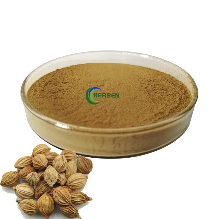 Puur Natuurlijke Amomum Extract Villous Amomum Fruit Extract