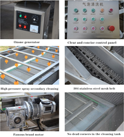 Automatische Werk Knoflook En Mango Fruit Mini Appel Zeewier Blad Transportband Groente Wasmachine Bubble Wash Machine