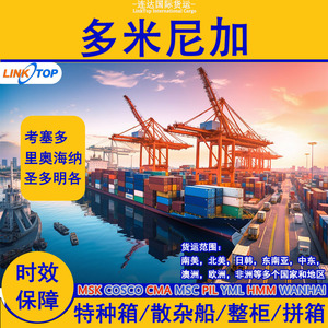 Linktop Lianda Logistics Express, Transporte de Carga, Envío Marítimo y Aéreo de China a República Dominicana, Logística de Exportación LCL - Product Image 2