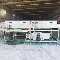 Automatische Parallelle Borstelrolwasser Schilmachine voor Gember, Aardappel, Wortel en Andere Wortelgewassen - Ideale Voedselverwerkingslijnapparatuur