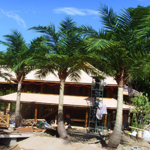 Palmeira árvore <span class=keywords><strong>artificial</strong></span> ao ar livre, enorme palmier árvores para centro de compras - Product Image 4