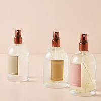 Bouteille pulvérisateur à brume fine continue personnalisée de 100 ml à 500 ml, vide et rechargeable, pour spray d'ambiance à l'alcool, vente en gros