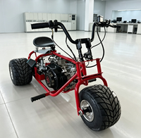 Mini Trike à Essence pour Adultes, 3 Roues, Tout-Terrain, Karting, Véhicule de Course en Montagne