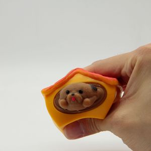 Jouets sensoriels anti-stress pour chiens, en silicone et plastique, à presser, en forme de tasse, emballage boîte, pour soulager le stress - Product Image 5