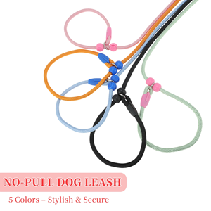 Factory Adjustable Dog Leash Heavy Duty No Pull Dog Leash <b>Nylon</b> Custom Dog Rope Training Leash Wholesale <b>Slip</b> Lead Dog Leash - Product Image 3