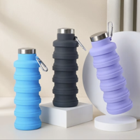 Bouteille d'eau de sport pliable en silicone 500 ml, réutilisable, anti-fuite, avec mousqueton pour la salle de sport, le fitness et les activités de plein air