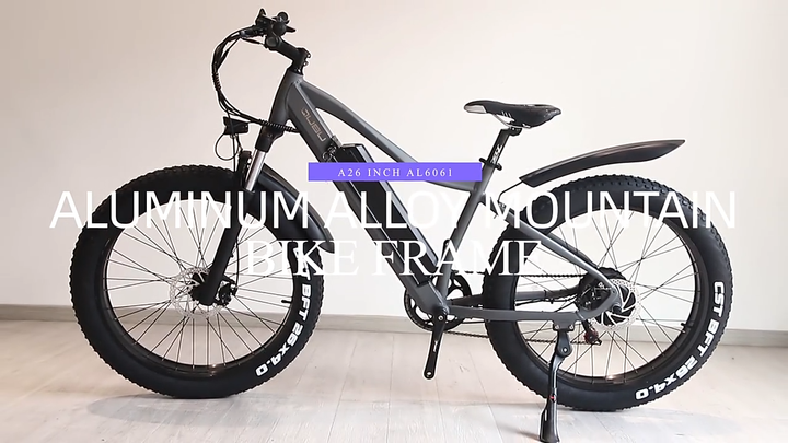 Wholesale 20'' 24'' 26 Inch 500 W Dual Brushless Motor Fat Tire E-bike  Electric Bicycle Mountain Bike with Full Suspension