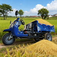 Triciclo diésel mini de 18/22/25 HP, triciclo de tres ruedas con volquete para transporte de mercancías