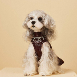 Elegant Personalized Lightweight Faux Leather Pet Dress for Small Dogs <b>Cats</b> Shiny Wine Red Skirt Tassel Rhinestone Collar - Product Image 1