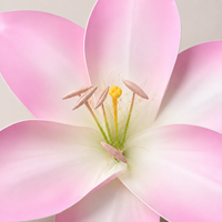 Riesiger künstlicher Rosenblütenkopf aus Papier, rosa Lotus-Lilie, für Hochzeiten, Events, kommerzielle Blumendekoration, Fabrikverkauf