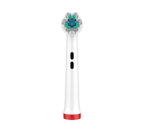 Fabbrica cinese all'ingrosso nuovo modello EB55-X <span class=keywords><strong>spazzolino</strong></span> da denti testa di pulizia <span class=keywords><strong>per</strong></span> orale <span class=keywords><strong>b</strong></span> - Product Image 5