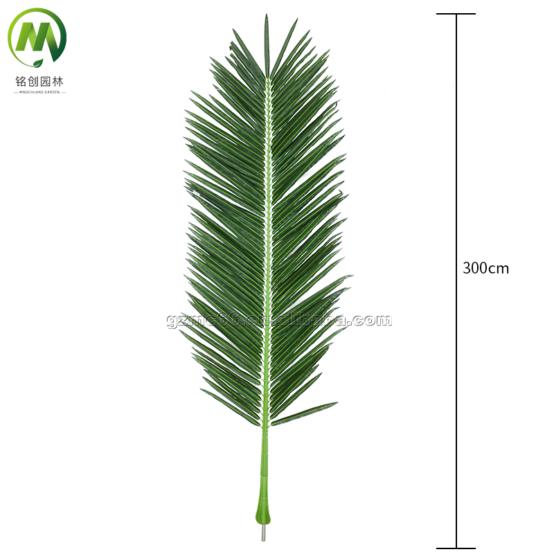 300 cm