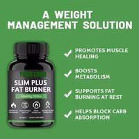 Capsules Minceur OEM Brûle-Graisse Ventre Plat Coupe-Faim Gestion du Poids Complément Alimentaire Minceur et Digestion