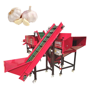 Máquina Clasificadora <span class=keywords><strong>de</strong></span> Ajo <span class=keywords><strong>MARIA</strong></span>, Máquina <span class=keywords><strong>de</strong></span> Preparación y Clasificación <span class=keywords><strong>de</strong></span> <span class=keywords><strong>Semillas</strong></span> <span class=keywords><strong>de</strong></span> Ajo, Motor <span class=keywords><strong>de</strong></span> 4.5KW, Diseño <span class=keywords><strong>de</strong></span> 2T/H para Triturar y Clasificar Ajo - Product Image 1