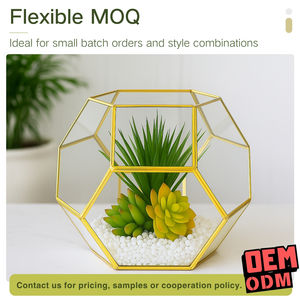 Moderner geometrischer Glaster rarium pflanzer mit goldenem Metallrahmen für Sukkulenten halter zu Hause oder zur Hochzeit - Product Image 3