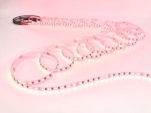 Đầy đủ màu sắc RGBW <span class=keywords><strong>LED</strong></span> <span class=keywords><strong>Strip</strong></span> 10mm 60LEDs 5050 DC24V điều khiển thông minh ngoài trời Dải hộp đêm RGBW giáng sinh ánh sáng màu dải ánh sáng - Product Image 3